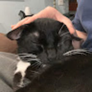 Meet your Posher, Lily